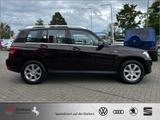 Mercedes-Benz GLK 220 CDI RENTNER AZN-Haus-Förderung* bis 1000 - Mercedes-Benz GLK 220 Gebrauchtwagen in Hannover