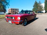 Ford Mustang - Ford Mustang in Karlsruhe
