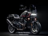 Harley-Davidson Pan America 1250 ST SOFORT VERFÜGBAR - HARLEY-DAVIDSON NEU