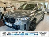 BMW X5 30 d xDrive M Sportpaket AHK Sky Lounge Stand