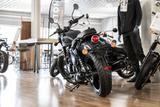 Royal Enfield Shotgun 650, sofort lieferbar, Lieferservice - Royal Enfield Shotgun 650