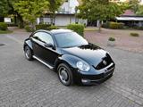 Volkswagen Beetle 2.0 TDI,BMT,DESIGN,CUP,2te-Hand,VW Käfer - Volkswagen: Kaefer