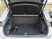 Cupra Terramar - Vorschau Bild 10