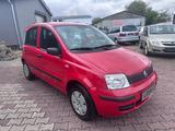 Fiat New Panda 1.1 8V*Scheckheft*Klima* - rote Fiat New Panda
