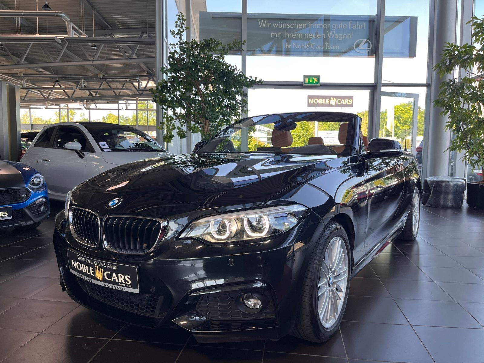 Fahrzeugabbildung BMW 220i Cabrio M Sport Shadow LED NAV RFK SHZ 18"