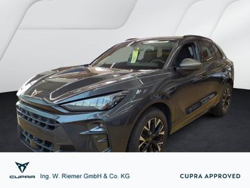 Cupra Terramar - 1