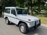 Mercedes-Benz G 300 Diesel  Motor neu überholt - Mercedes-Benz G 300: 300d