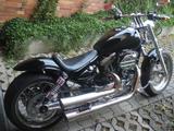 Harley-Davidson 1200 Custom-Lottermann - Angebote