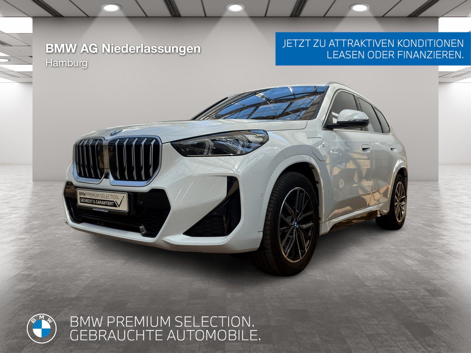 BMW X1 xDrive30e M Sport Driv.Assist.Prof Head-Up foto 1