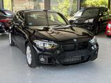 BMW 118 i Edition M Sport Shadow-PDC-NAVI-SHZ