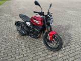 Moto Morini Seiemmezzo STR 650 Tageszul. 12/24 A2 mögl.45kw - MOTO MORINI NAKED BIKE