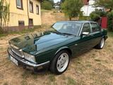 Jaguar XJ40 - Jaguar XJ40: Limousine