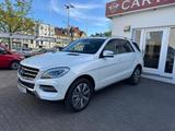 Mercedes-Benz ML 250 CDI BlueTec * Top Gepflegt *AHK*LED*NAVI* - Mercedes-Benz ML 250 in Berlin