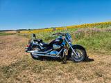Suzuki VL 800 Volusia Cruiser Intruder  - Angebote