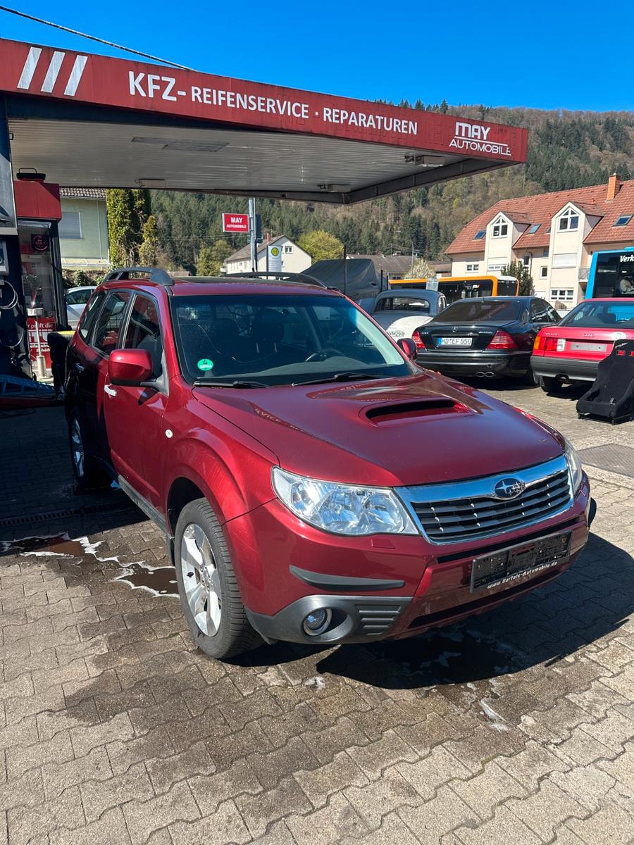 Subaru Forester Comfort