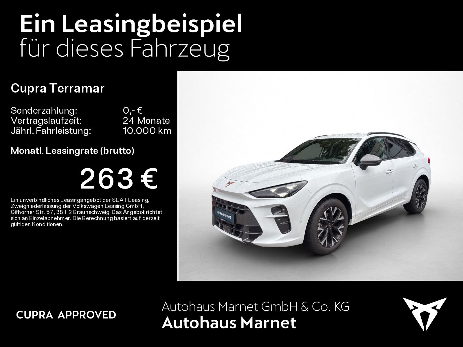 Cupra Terramar - Bild 2