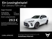Cupra Terramar - Vorschau Bild 2
