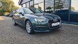 Audi A4 Avant 2.0 TDi - VIRTUAL - MATRIX - MEMORY - Audi A4: Grün, mit Navigationssystem