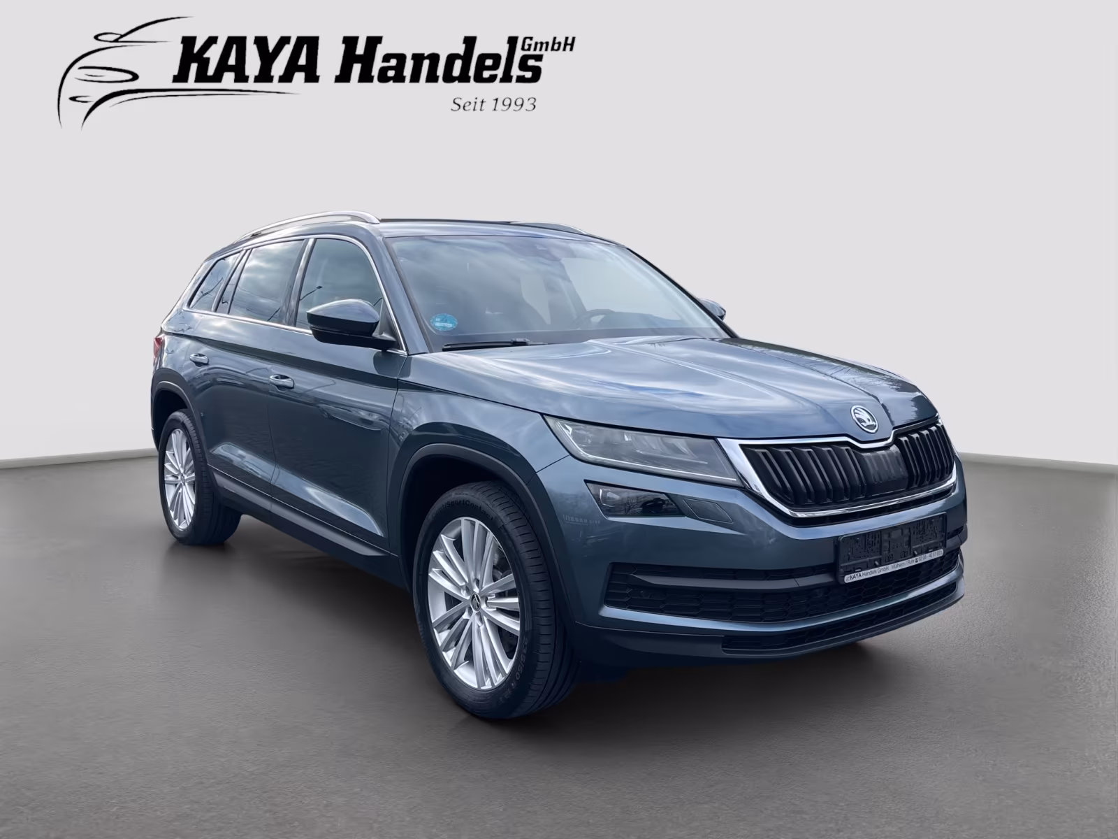 Skoda Kodiaq Style 4x4 Leder/Navi/Kamera/7-Sitzer--TOP
