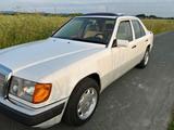 Mercedes-Benz Mercedes Benz W124 230 E Automatik H-Kennz... - Mercedes-Benz 230 aus 1991