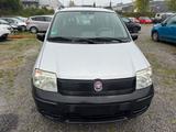 Fiat Panda 1.2 8V Trekking 4X4 - Fiat Panda TREKKING mit Benzin-Antrieb