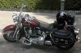 Harley-Davidson FLSTC Softail Classic - Angebote
