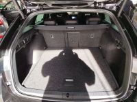 Skoda Octavia - Vorschau Bild 7