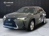Lexus UX UX 250h 2.0 Business 2wd cvt my20 - Lexus UX aus 2020