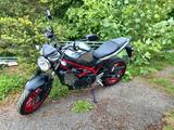 Suzuki SV650 - neuwertig - SUZUKI SV 650 N