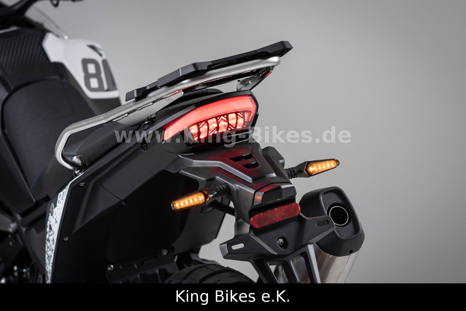 Fahrzeugabbildung VOGE 800DS RALLY/DS800X RALLY -Inkl. 3 Jahre Garantie