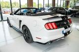 Ford Mustang 2,3 Ecoboost GT 500 SHELBY PREMIUM - Ford Mustang: Shelby Gt500