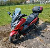 Honda Forza 125 - HONDA ROLLER 125