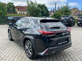 Lexus UX 300 h F Sport Design.LED.Kamera.ACC - Lexus UX Neuwagen