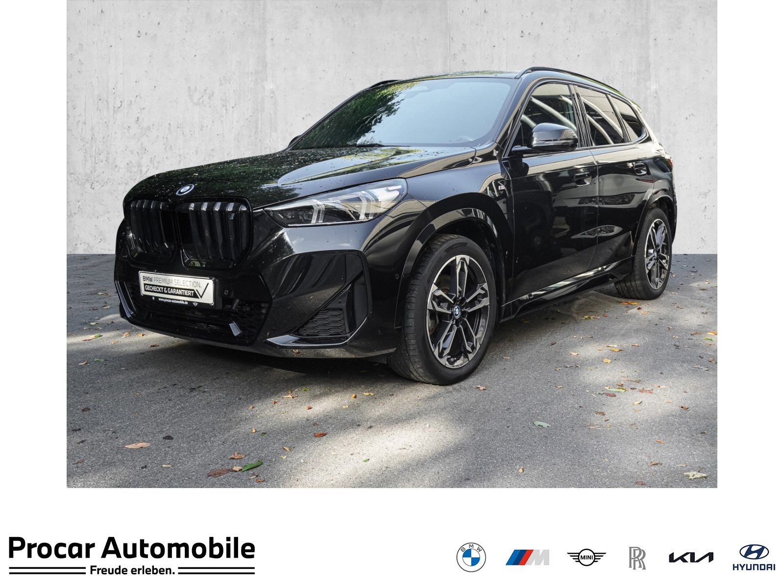 BMW iX1 xDrive30 M Sport PANO ACC AHK RFK NAVI LED foto 1