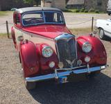 Riley AndereRMF - Riley