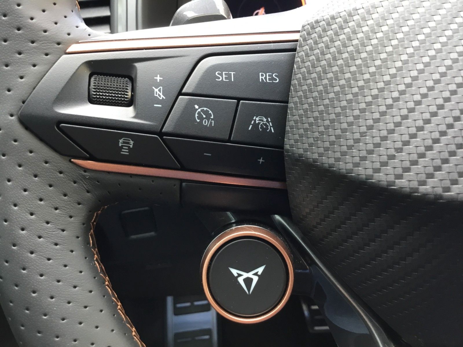 Fahrzeugabbildung CUPRA Ateca 2.0 TSI 4Drive DSG+Pano+AHK+19"+ACC+LED