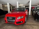 Audi A5 2.0 TFSI S tronic quattro Cabriolet - S-line - Audi A5 aus 2009: Line