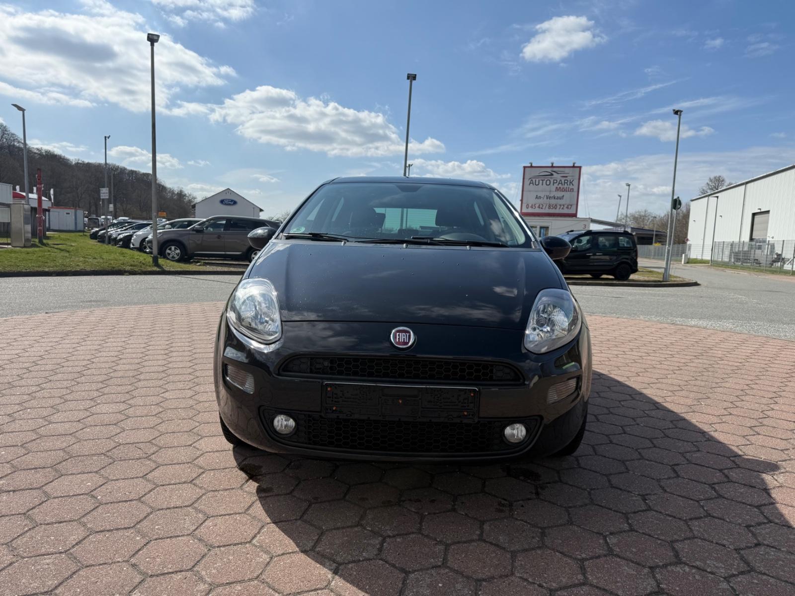 Fiat Punto More