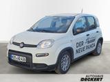 Fiat Panda 1.0 Mild Hybrid EU6e, Bluetooth, Tempomat - Fiat Panda Vorführfahrzeuge
