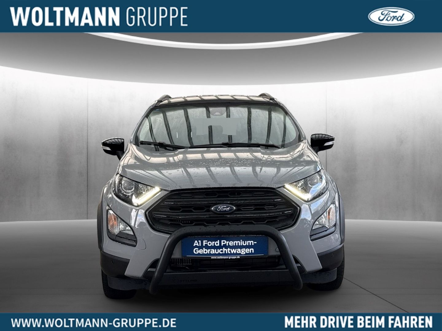 Fahrzeugabbildung Ford EcoSport Active Allwetter Winterpaket B&O NAVI D