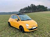 Fiat Verkaufe meine kleine Sonnenblume - : Kleine