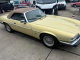 Jaguar XJS - Jaguar aus 1993