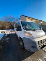 Fiat Ducato Kastenwagen  fahrbereit - Fiat Ducato Gebrauchtwagen in München