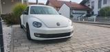Volkswagen VW The Beetle Sport Abt - Volkswagen: Abt