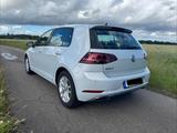 Volkswagen Golf VII Facelift Bj.06/17, nur 51Tkm, TÜV Neu, - Volkswagen Golf: Bj