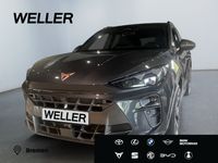 Cupra Terramar - Vorschau Bild 1