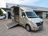 Renault Master Pferdetransporter Sodiak Automatik Leder - Angebote