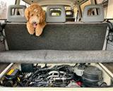 Volkswagen T3 Caravelle - Volkswagen T3: 7 Sitzer