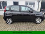 Fiat Panda Pop aus 1.Hand mit 85381 km - Fiat Panda Kleinwagen Km h mit Benzin-Antrieb
