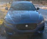 Jaguar XE P250 R-Dynamic Black Automatic B... - Jaguar XE aus 2021